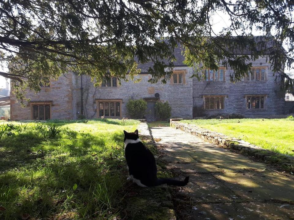 The Manor House, Curry Mallet Тонтон Экстерьер фото