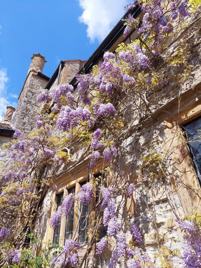 The Manor House, Curry Mallet Тонтон Экстерьер фото
